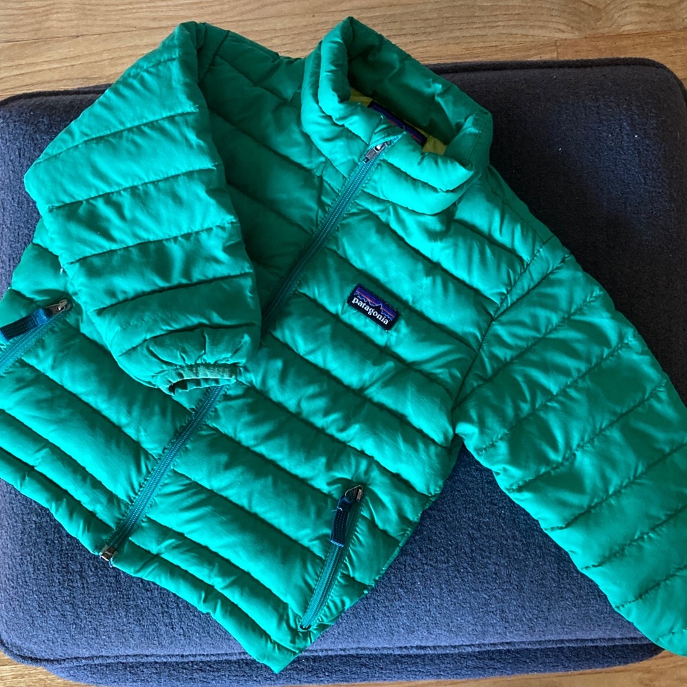 Patagonia “Baby Down Sweater Jacket” Puffer